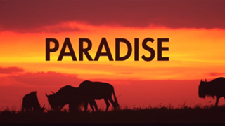 Paradise